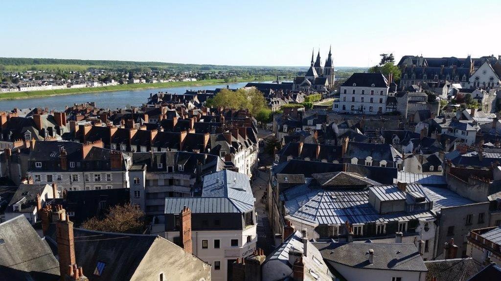 Bed and Breakfast Castel De La Comtesse à Blois Extérieur photo